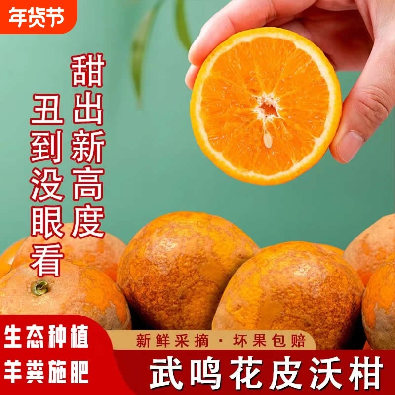 正宗广西武鸣花皮沃柑新鲜水果应当季现摘纯甜蜜桔柑橘砂糖桔橘子,水产肉类/新鲜蔬果/熟食,桔子,淘宝优惠券,粉丝福利购,淘宝优惠卷