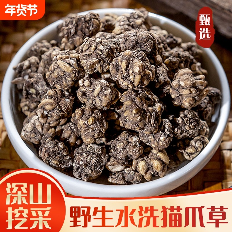 野生猫爪草中药材正品猫抓草茶夏枯草蒲公英郁金车前草泡水喝新鲜