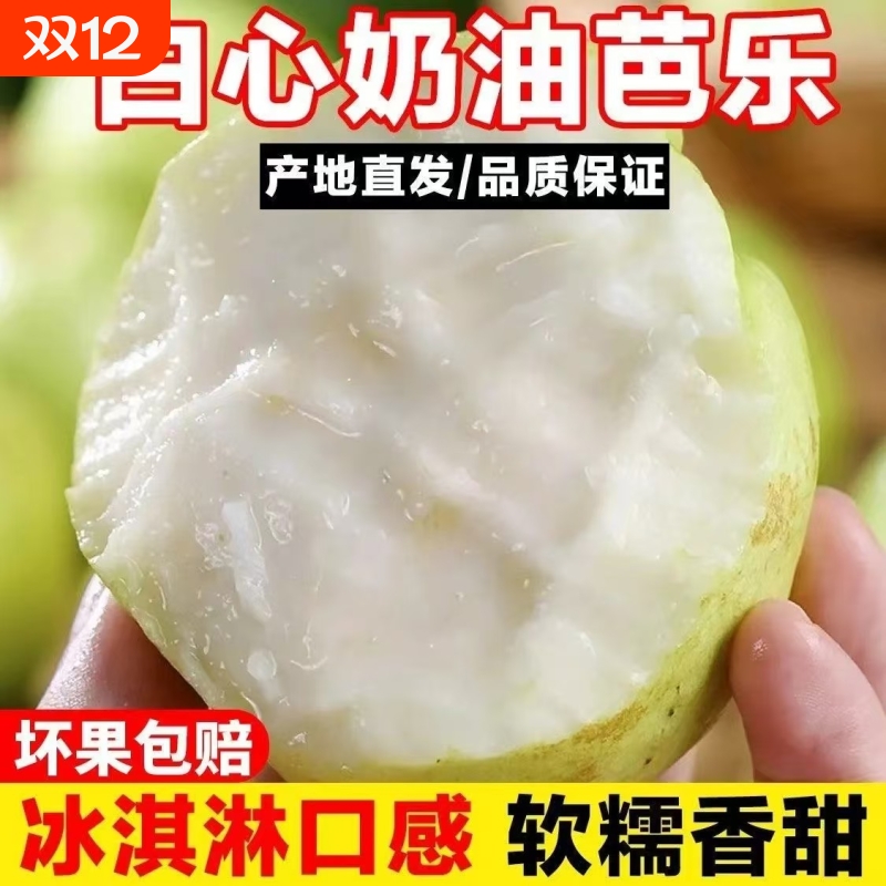 现摘广东白心奶油芭乐低糖当季孕妇水果番石榴新鲜软糯3斤起果园