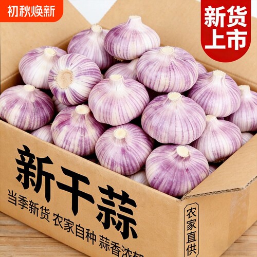 干蒜金乡紫皮大蒜|超1.6万次加购