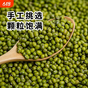 东北正宗新鲜绿豆新货农家可发豆芽专用易煮绿豆粥汤杂粮出沙发芽