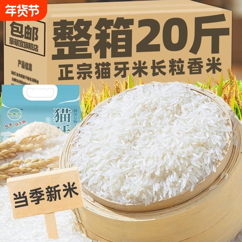 2025年新米猫牙米晚稻香米超长粒大米丝苗20斤煲仔饭米蛋炒饭粥米,粮油调味/速食/干货/烘焙,速烹米饭,淘宝优惠券,粉丝福利购,淘宝优惠卷