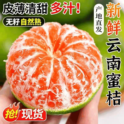 云南蜜橘桔子9斤早熟无籽新鲜橘子孕妇水果整箱当季青皮桔子柑橘