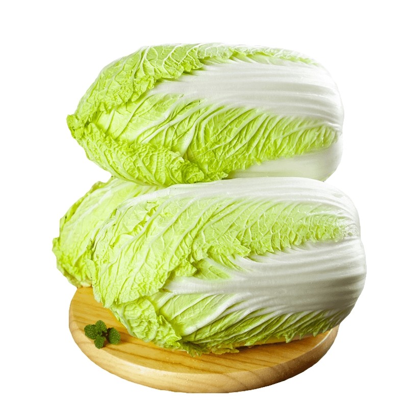 陕西农家自种大白菜新鲜当季蔬菜精选鲜嫩可口大白菜3/5斤