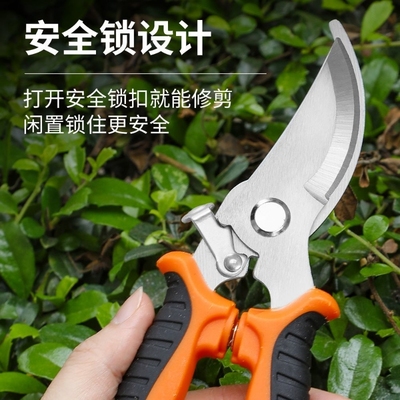 园艺剪子花枝剪根植物修剪省力修剪树枝果树竹签园林花卉专用花艺