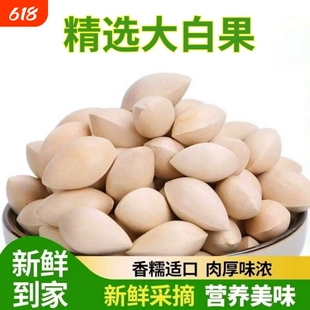 精选带壳白果干 无硫新货生银杏果 煲汤做菜食材中药材正品批发