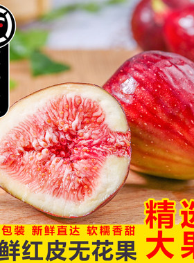 顺丰包邮四川新鲜无花果红皮鲜果孕妇儿童波姬红水果整箱现摘大果