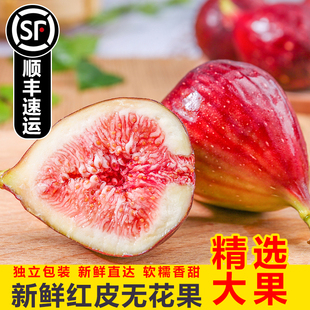 顺丰包邮四川新鲜无花果红皮鲜果孕妇儿童可食波姬红超甜水果整箱