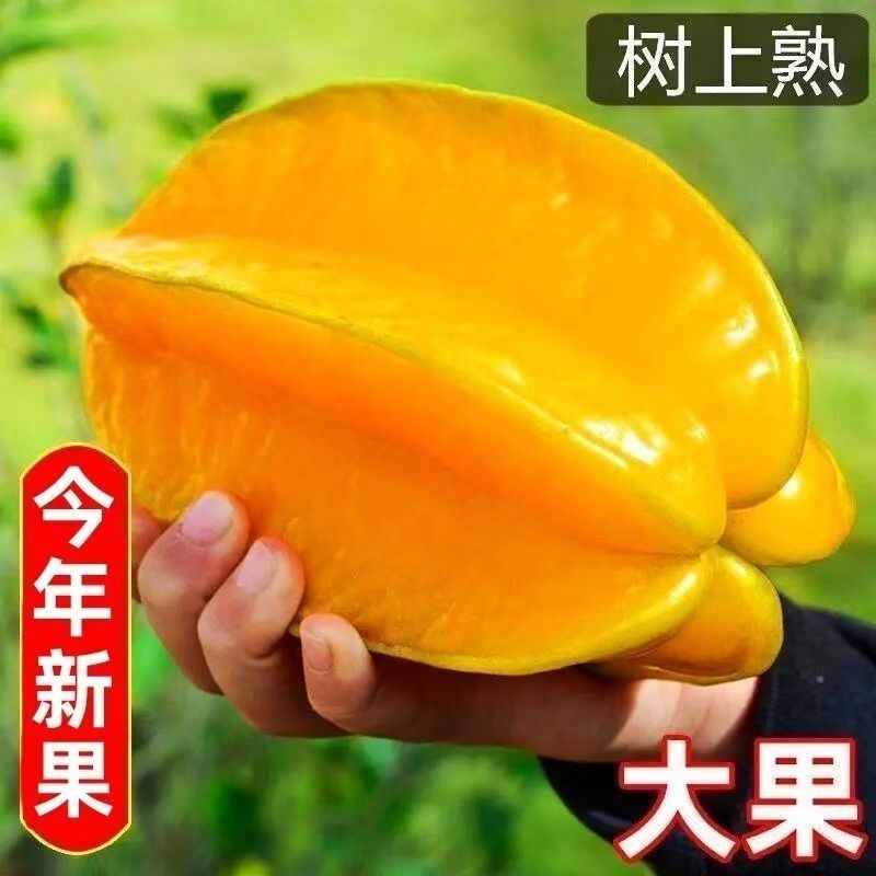 杨桃新鲜水果当季水果洋桃精选热带水果降火红龙杨桃樱桃黄桃罕见