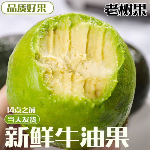 秘鲁哈斯牛油果2-10个新鲜水果当季整箱包邮一级鳄梨进口辅食奶油