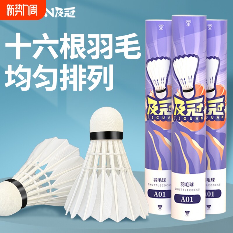 家庭装耐打羽毛球正品不易打烂室内室外比赛防风飞行稳定训练用球