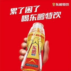 东鹏特饮500ml*10瓶维生素功能性饮料牛磺酸能量饮品抗疲劳冰镇
