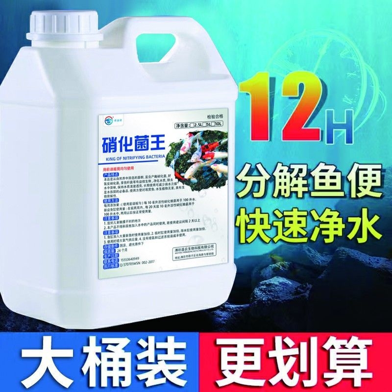 锦鲤池塘鱼池硝化细菌净化净水剂