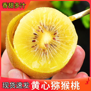 黄心猕猴桃弥猴桃奇异果现摘现发黄心大果新鲜包邮西峡特产批发
