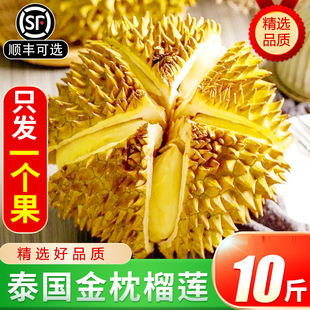 包邮 鲜果泰国进口软糯香甜整个巴掌榴莲顺丰 新鲜金枕榴莲带壳当季