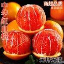 红心红肉脐橙赣果冻南橙子整箱 包邮 中华红血橙当季 新鲜水果顺丰