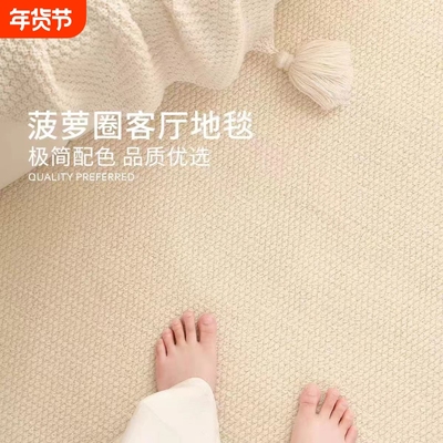 地毯客厅家用高级免洗可擦