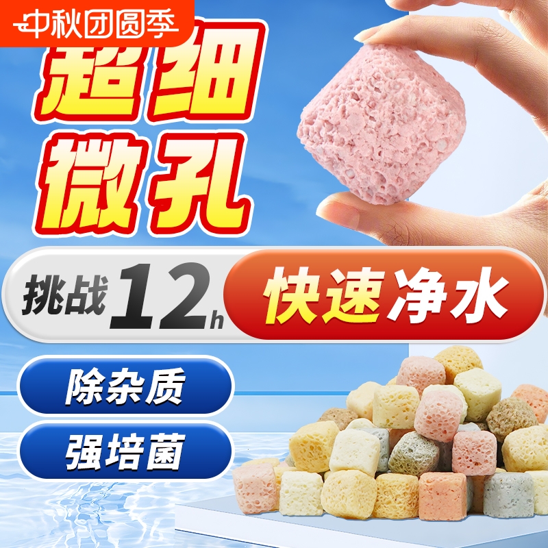 青色水景净水培菌平衡水质