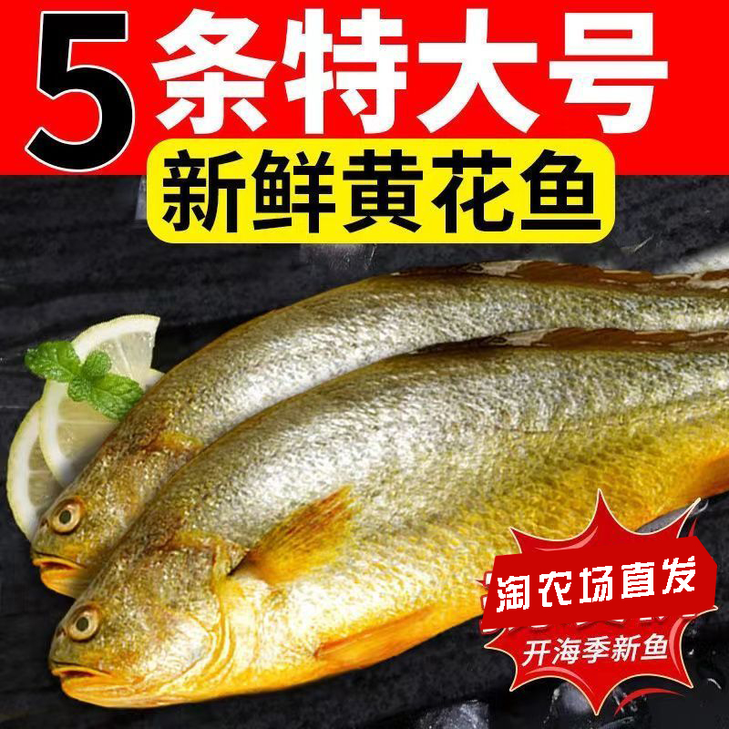 大黄鱼新鲜冷冻深海黄花鱼生鲜真空装小黄鱼商用海鲜水产鱼类