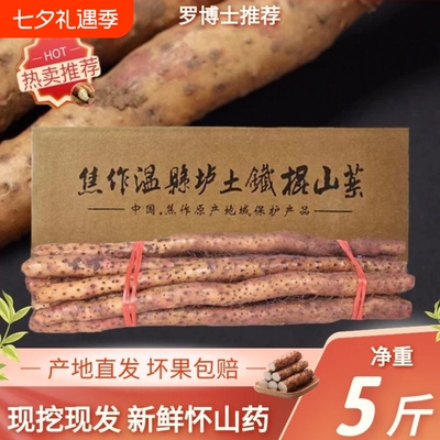 铁棍山药新鲜正宗河南焦作温县