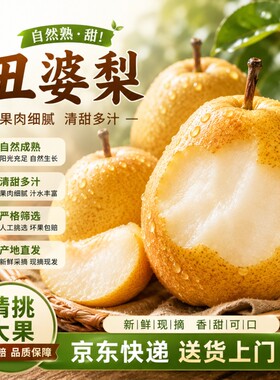 中华软糯丑梨香甜包邮到家