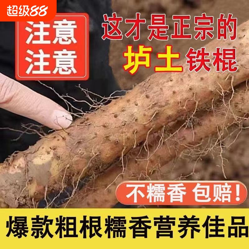 正宗河南焦作温县垆土铁棍山药新鲜现挖粉糯怀淮山生铁杆包邮当季