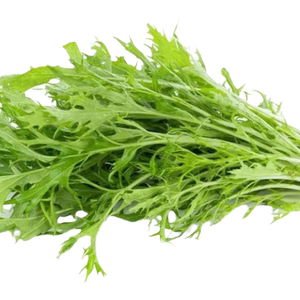 细叶雪里蕻种子雪菜雪里红春不老种籽秋冬青菜农家菜园庭院蔬菜孑