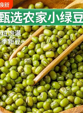 精选绿豆农家绿豆粥煮粥绿豆汤五谷杂粮新鲜新货小绿豆