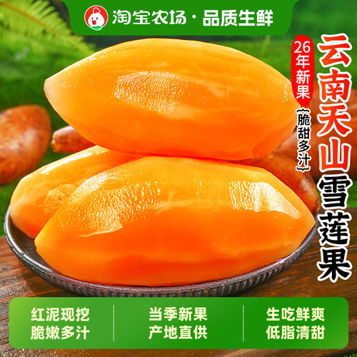 云南天山雪莲果脆甜黄心新鲜包邮