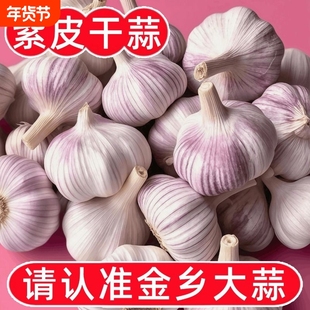 【突然降价】山东农家干大蒜紫皮特大蒜头特级干蒜超低价大蒜批发