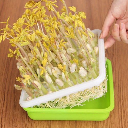 豆芽盆A1pn700-发芽盆无土栽培蔬菜种植育苗盘芽苗水培盒花生专