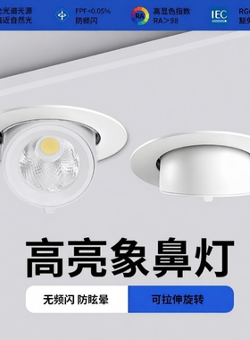 象鼻灯射灯嵌入式筒灯ledcob天花灯店铺商用家用客厅可调角度开孔