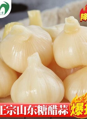 正宗山东精品糖蒜开胃解腻神器