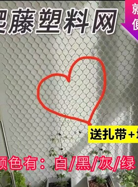 月季花墙架爬藤网|超3000次加购