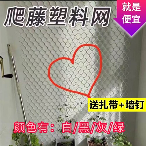 月季花墙架爬藤网|超3000次加购