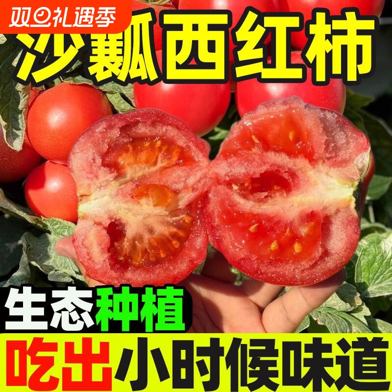 现摘农家水果小西红柿5斤