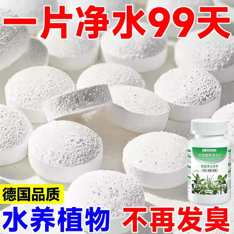 水培植物净水片鲜花花卉保鲜剂不臭水碗莲专用通用消毒片净化水质