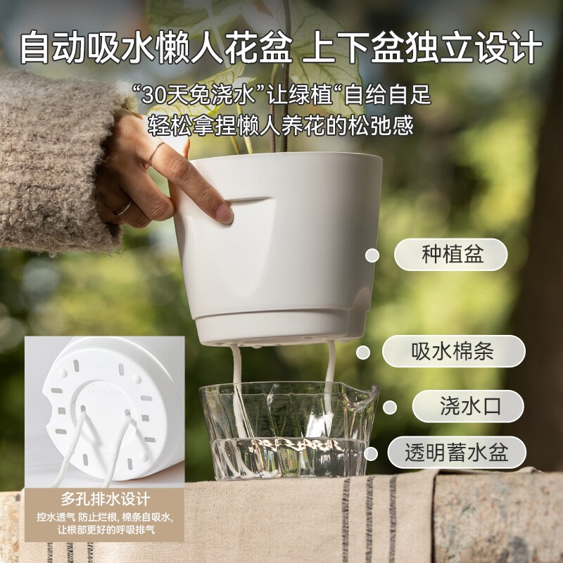 水培花盆美吊兰绿萝文竹树脂自吸水懒人盆透明种植养花绿植优选