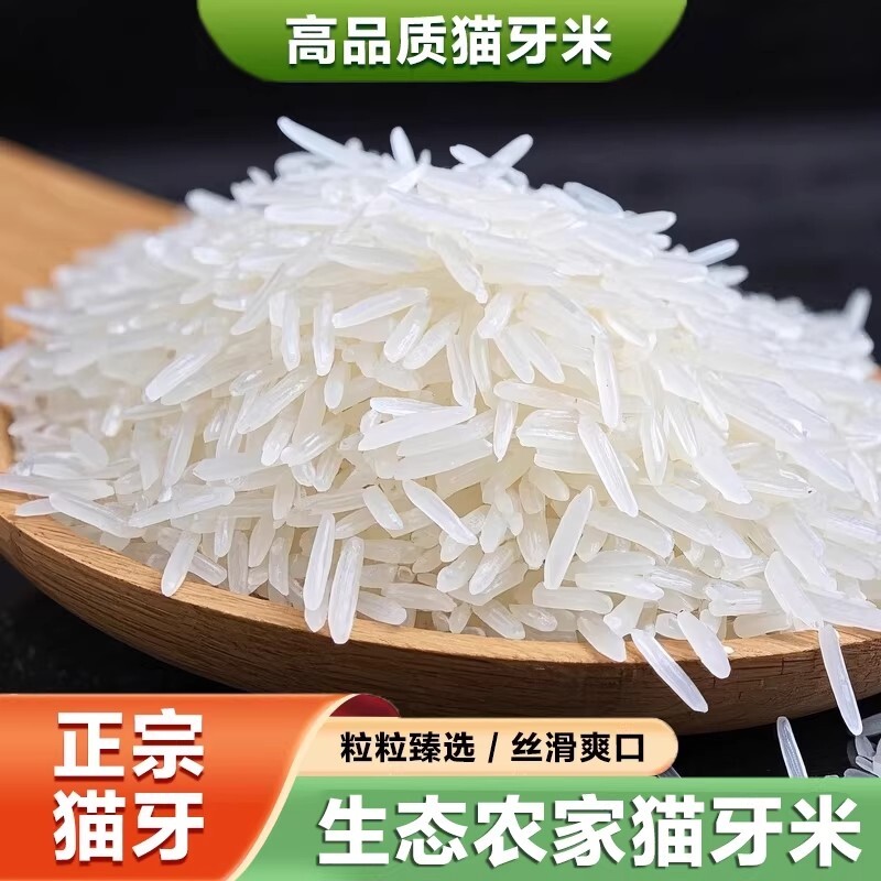 2025年精选长粒米正宗猫牙米农家长粒香米5斤品质一级传统新大米
