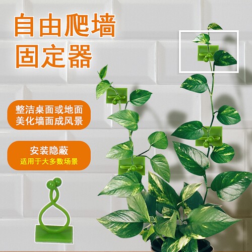 绿萝固定器爬墙上神器绿植攀爬夹子无痕卡不伤墙挂钩强力粘缠绕扣
