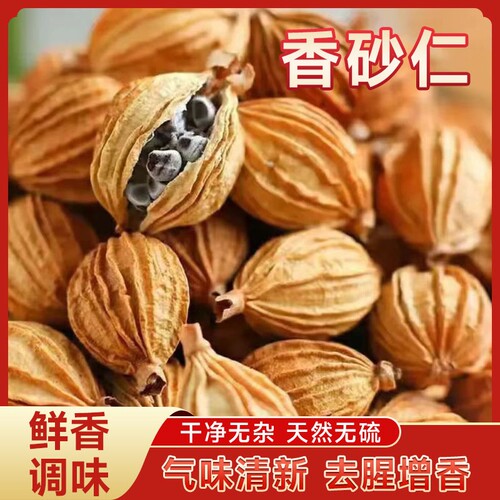 香砂仁川砂仁中药材官方旗舰店干净卤肉炖肉沙仁烧菜卤肉料家用