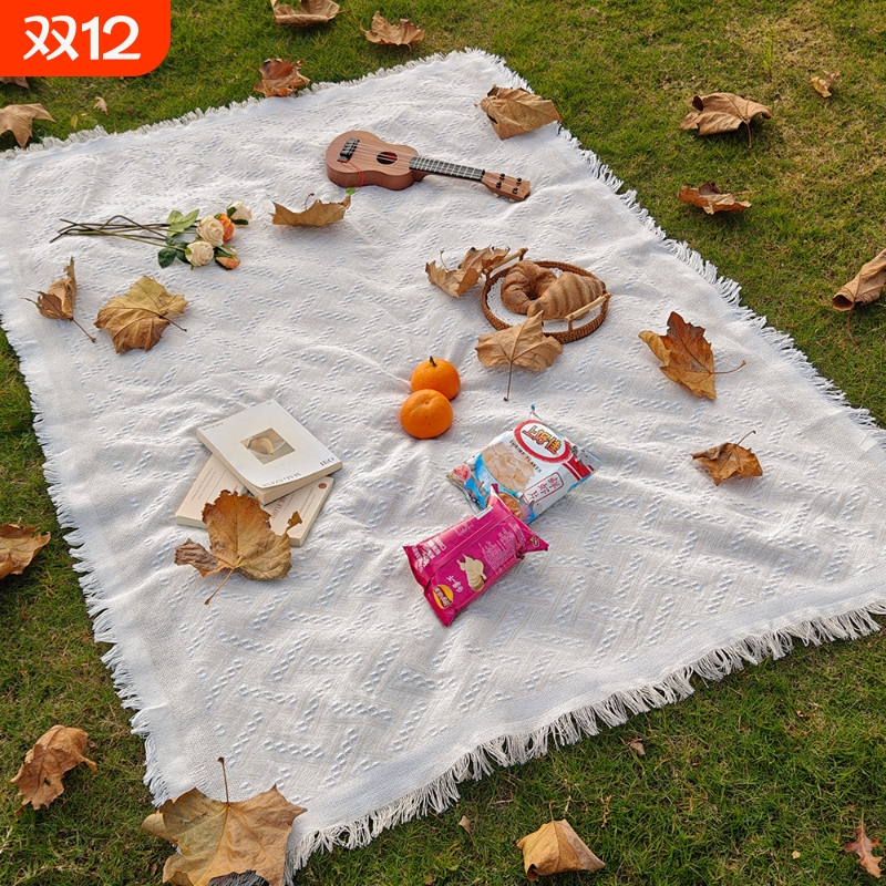 T野餐垫防潮垫野餐布户外露营白色毯子沙滩垫帐篷地垫法式拍现代
