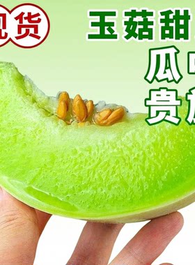 山东冰淇淋玉菇甜瓜新鲜应当季水果玉菇哈翡翠香甜密瓜5斤冰激凌