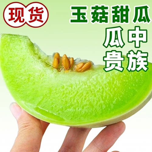 山东冰淇淋玉菇甜瓜新鲜应当季水果玉菇哈翡翠香甜密瓜5斤冰激凌