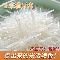 大米米丝苗正宗广西长寿乡一级猫牙农家香米长粒新米10斤优质上林