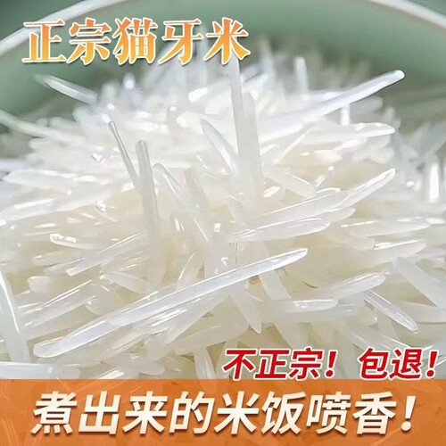 广西正宗猫牙米长粒香米真空锁鲜