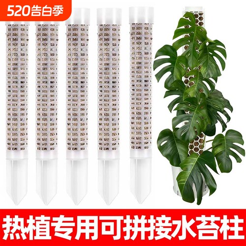 水苔柱可拼接龟背竹爬藤植物攀附柱热值专用绿萝攀爬柱固定支撑架