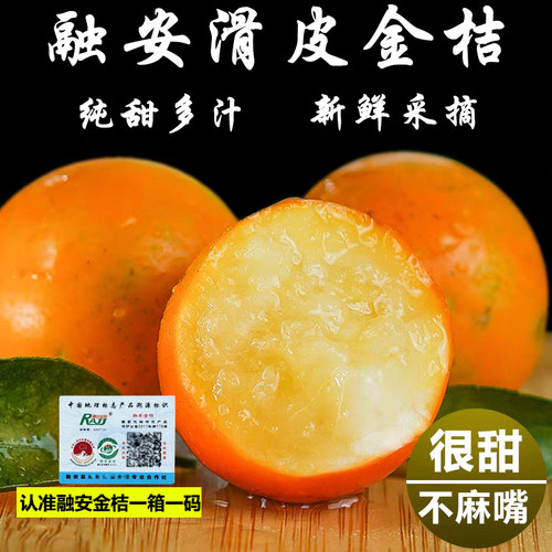 广西融安滑皮金桔一级融安金桔纯甜新鲜水果桔子