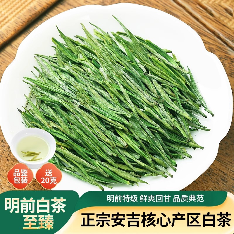 安吉茶叶白茶2025年新茶正宗珍稀白茶兰花香明前嫩芽绿茶自己喝