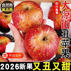 大凉山丑苹果9斤冰糖心水果新鲜应当季盐源苹果红富士产地直发